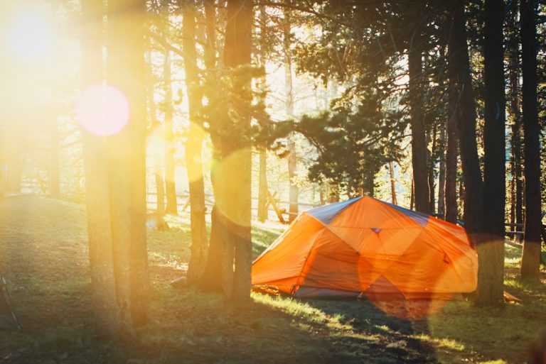The Ultimate DIY Camping Experience: Nature Awaits