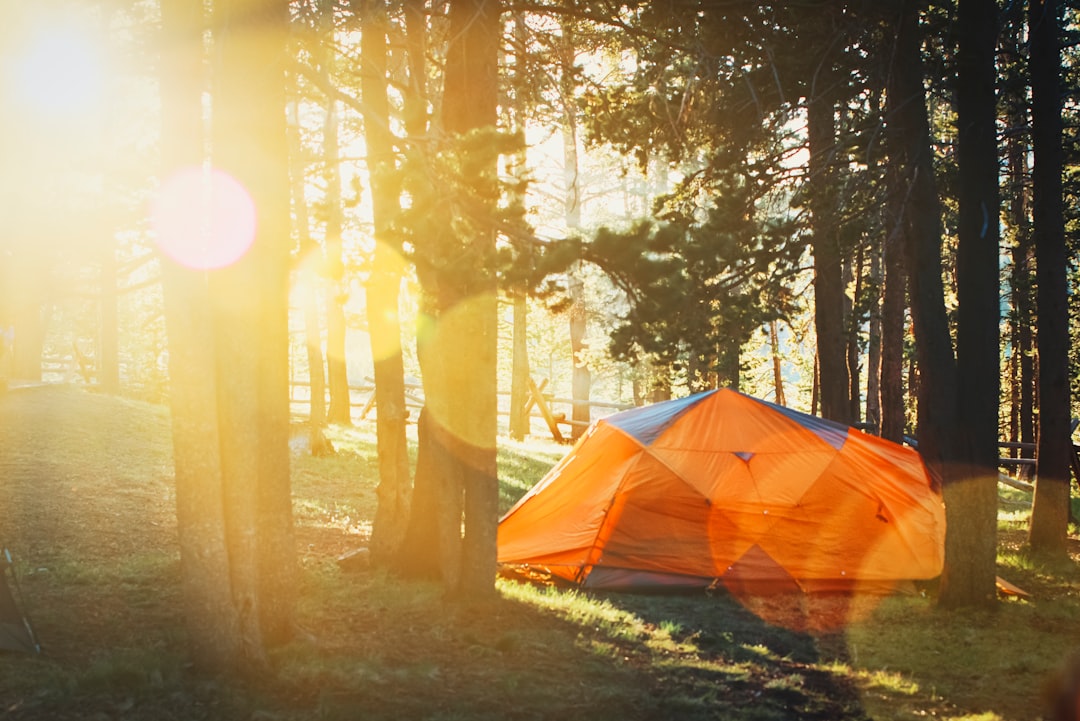 The Ultimate DIY Camping Experience: Nature Awaits The Ultimate DIY Camping Experience: Nature Awaits
